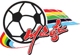Logo Naegohyang (W)