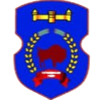 Logo Nadezhda Baranovici