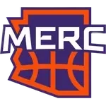 Logo New York Liberty W