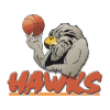 Logo Bay Hawks