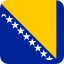 Logo Bosna 