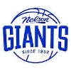 Nelson Giants